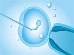 移植囊胚第八天血值低怎么办，胚胎移植第18天HCG值为多少才安全